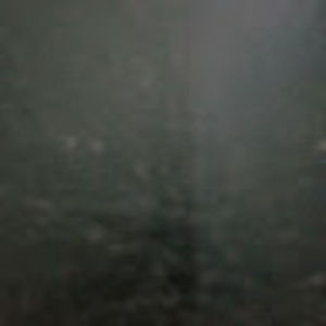 Meet your Posher, Carol